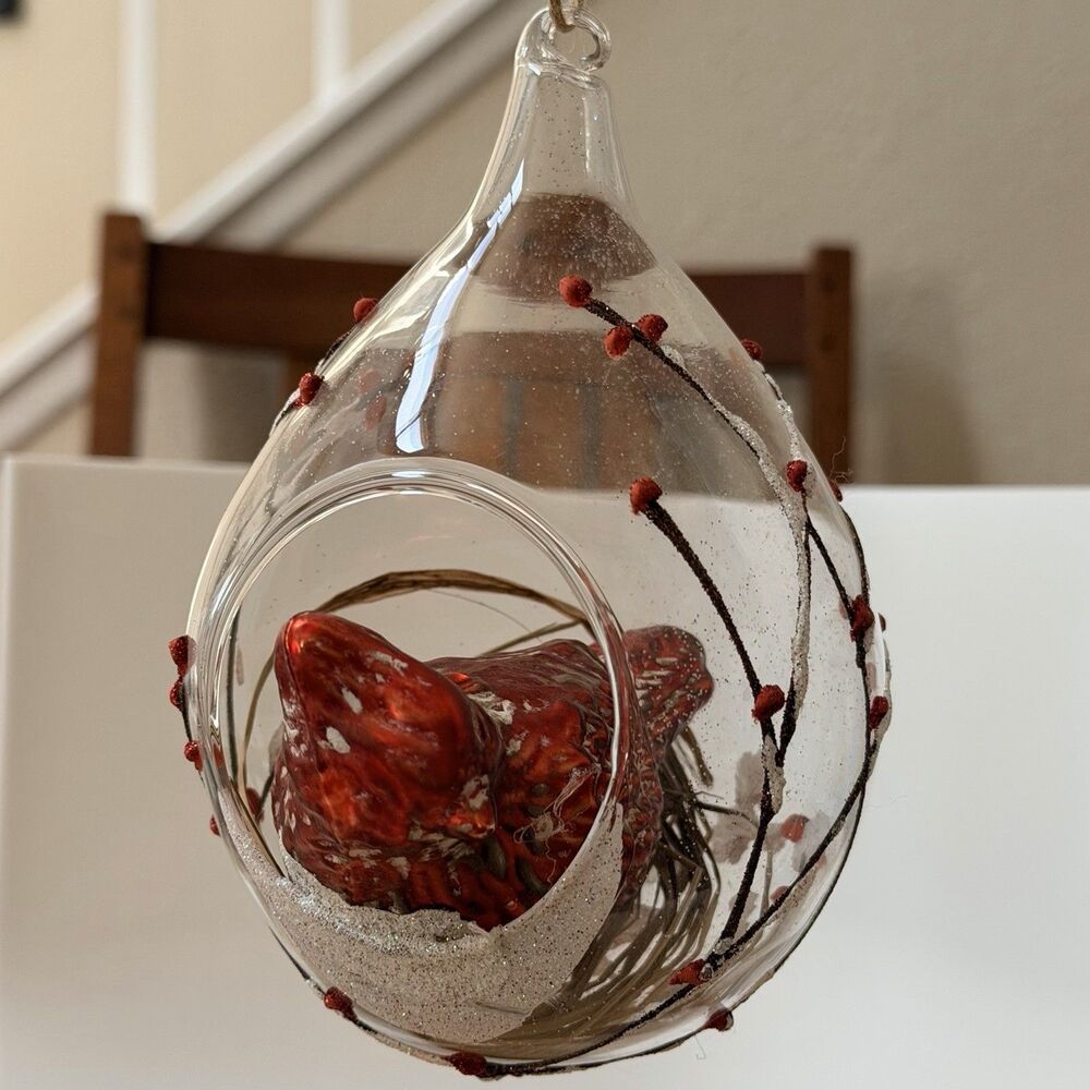 Glass Cardinal Bird Terrarium Christmas Ornament Red Berry Snow Nest Decor 6”x4”